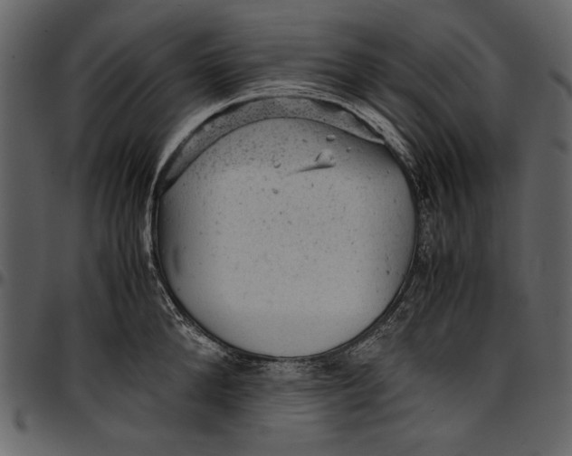 X0000096940904200802291030