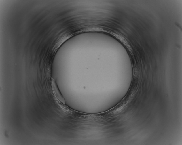 X0000096940905200802291030