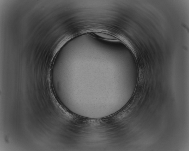 X0000096940906200802291030