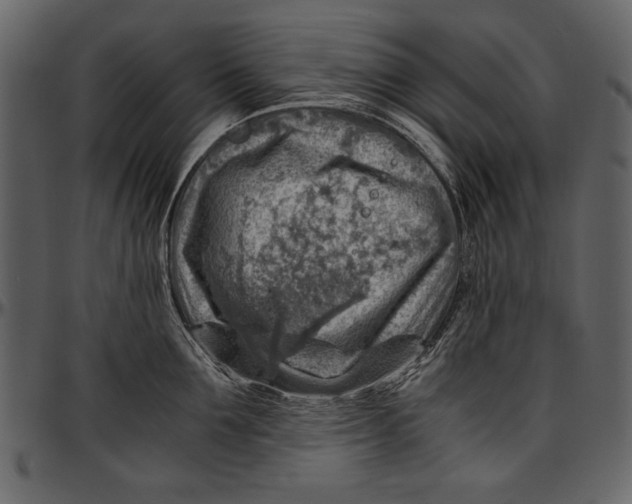 X0000096940907200802291030