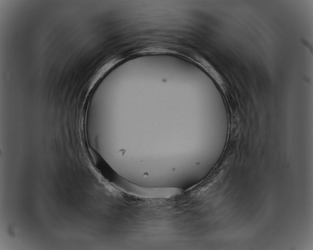 X0000096940909200802291030