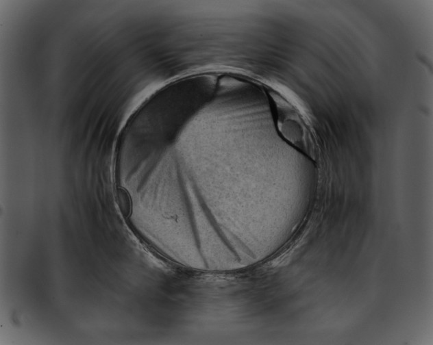 X0000096940910200802291030