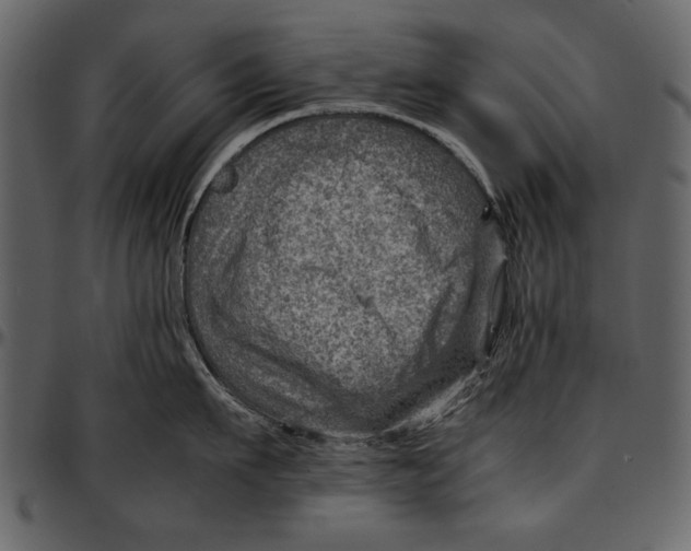 X0000096940911200802291030