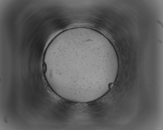 X0000096940912200802291030