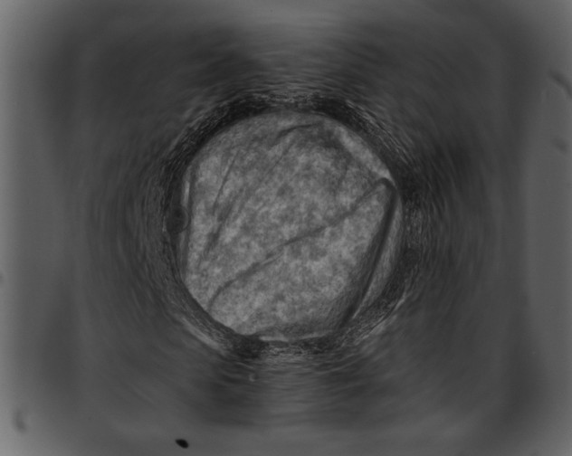 X0000096940913200802291029