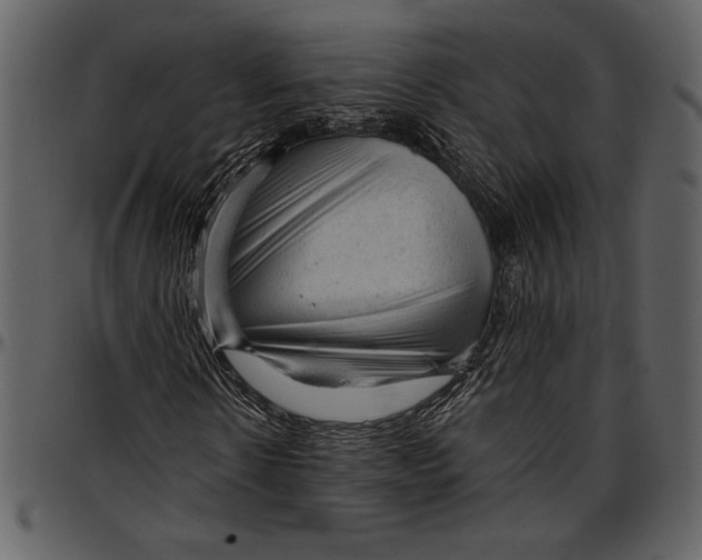 X0000096940914200802291029