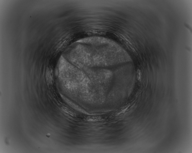 X0000096940915200802291029