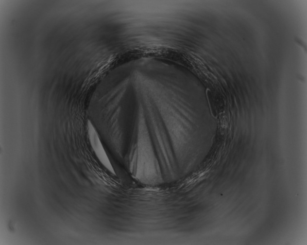 X0000096940916200802291029