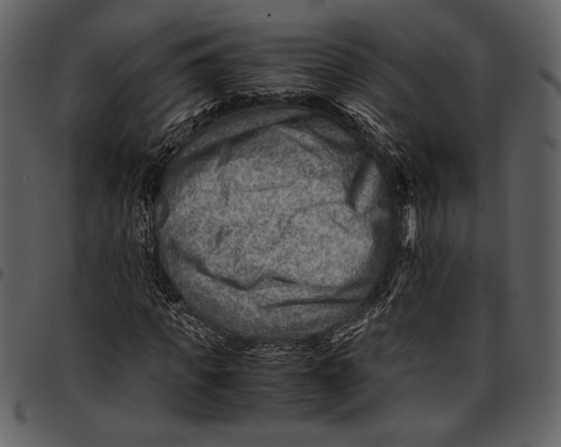 X0000096940917200802291029