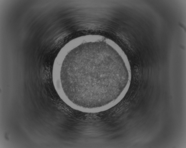 X0000096940918200802291029