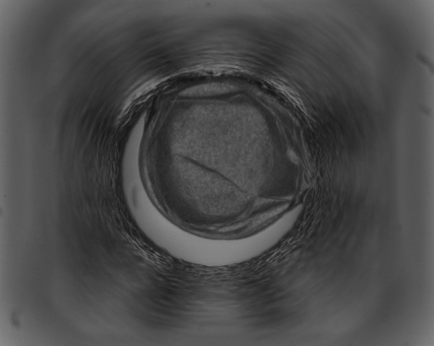 X0000096940920200802291029