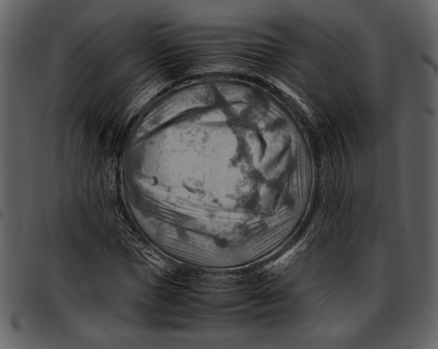 X0000096940921200802291029