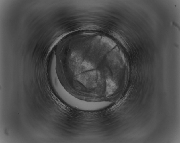 X0000096940923200802291029