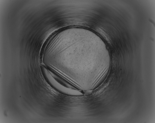 X0000096940924200802291029