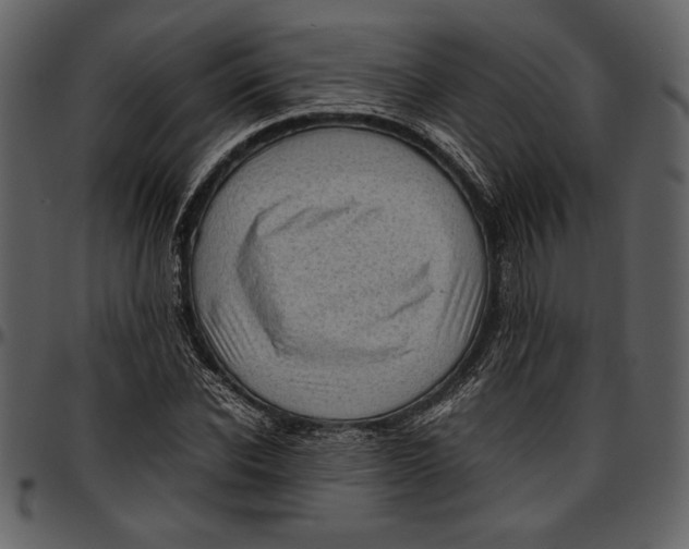 X0000096940926200802291029