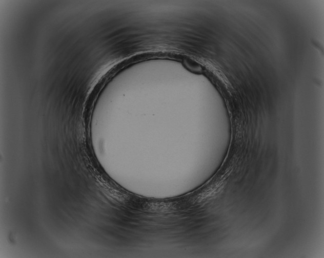 X0000096940927200802291029