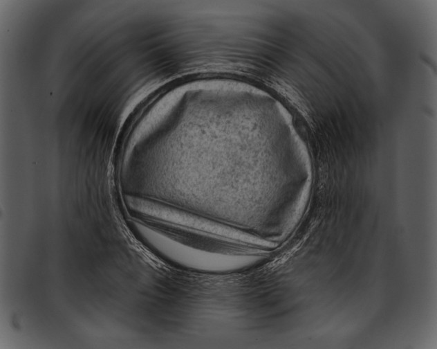 X0000096940928200802291029