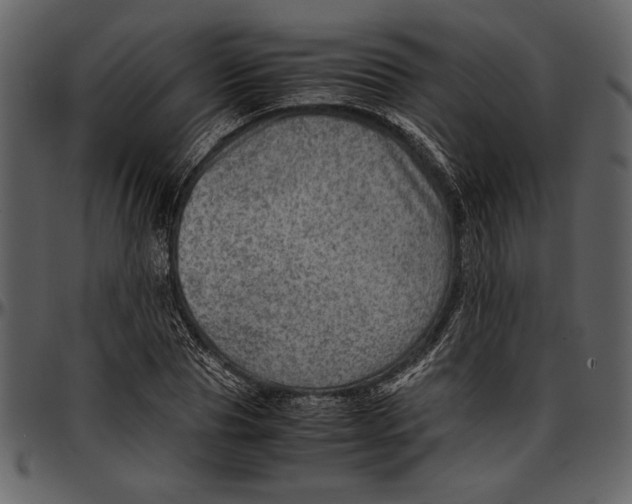 X0000096940929200802291029