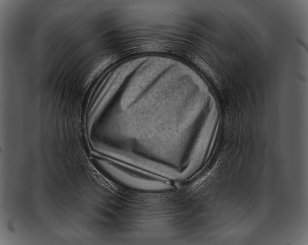 X0000096940930200802291029