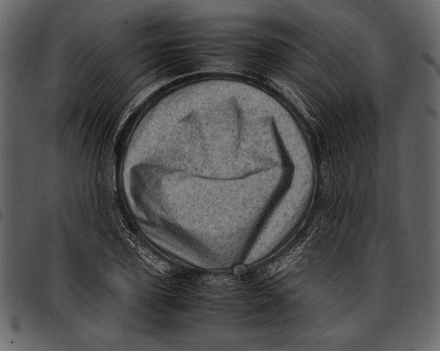 X0000096940931200802291029