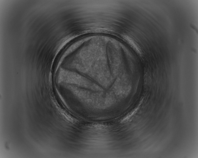 X0000096940932200802291029