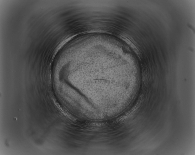 X0000096940933200802291029