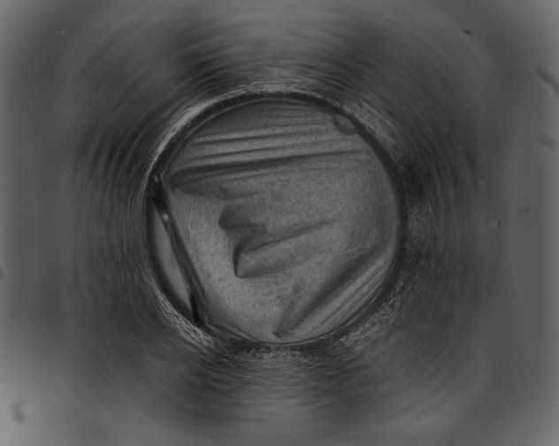 X0000096940934200802291029