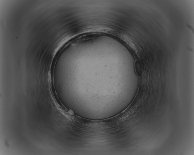 X0000096940936200802291029