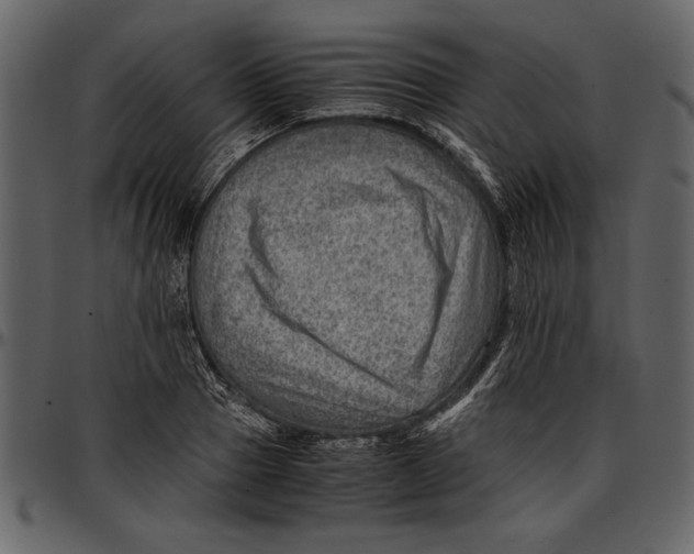 X0000096940937200802291029