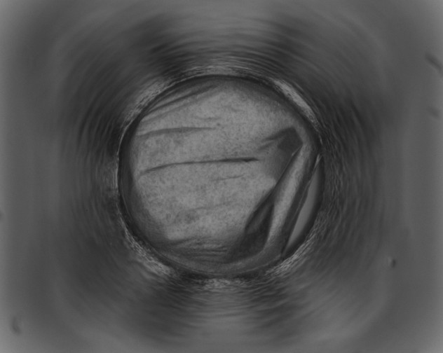 X0000096940938200802291029