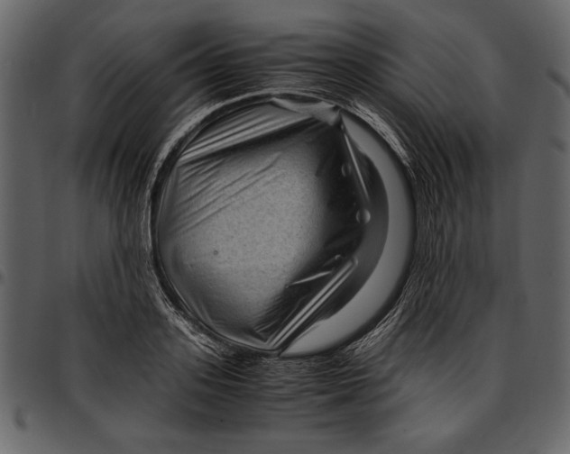 X0000096940939200802291029