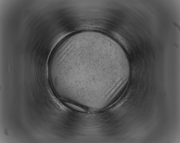 X0000096940940200802291029