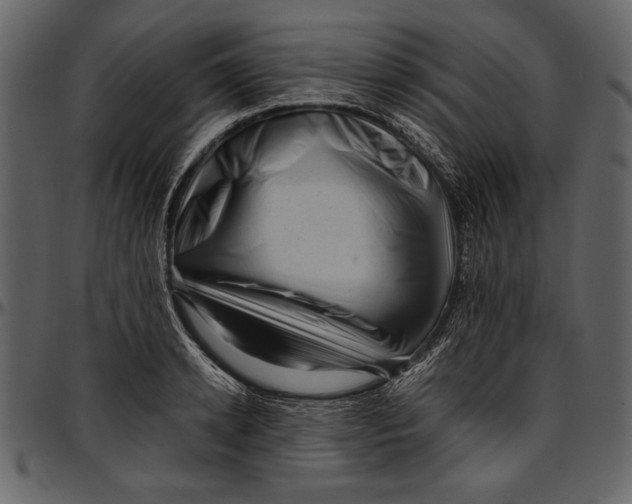 X0000096940942200802291029