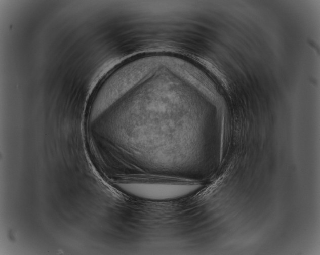 X0000096940943200802291029