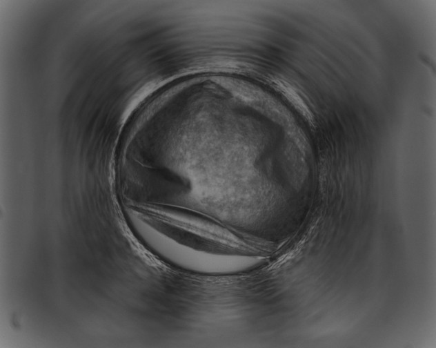 X0000096940944200802291029