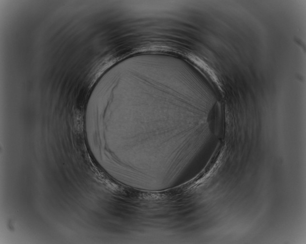 X0000096940945200802291029