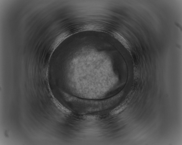 X0000096940946200802291029