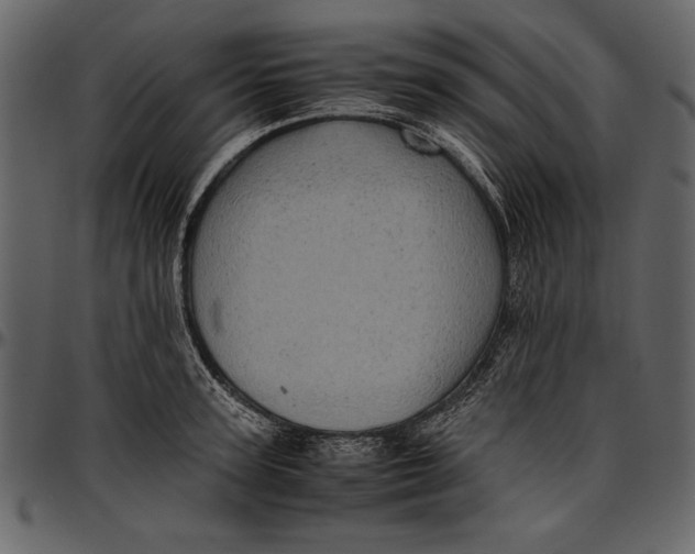 X0000096940947200802291029