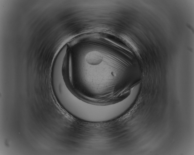 X0000096940948200802291029