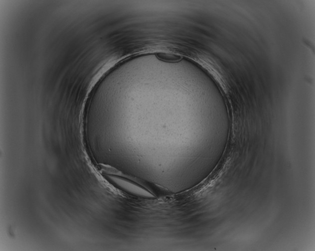 X0000096940949200802291029