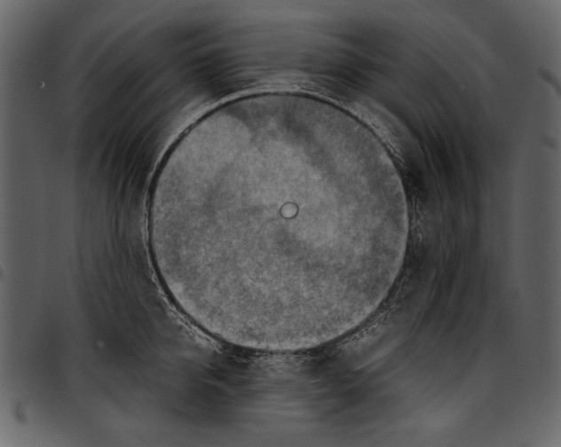 X0000096940950200802291029