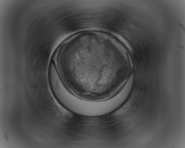 X0000096940951200802291029