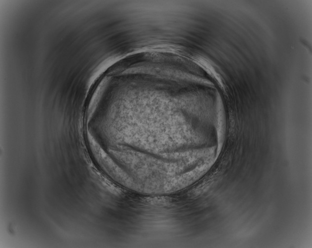 X0000096940952200802291029