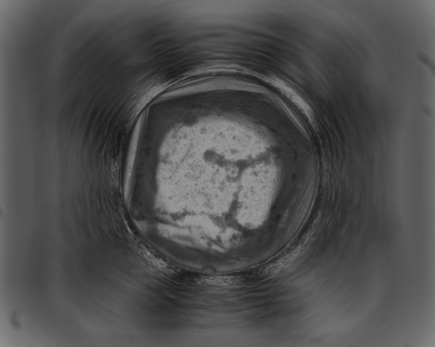 X0000096940953200802291030