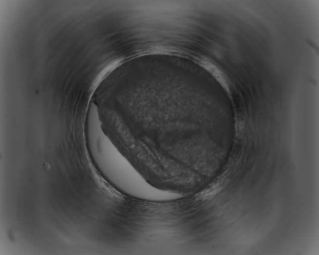 X0000096940954200802291030