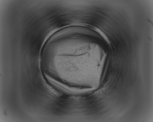 X0000096940955200802291030