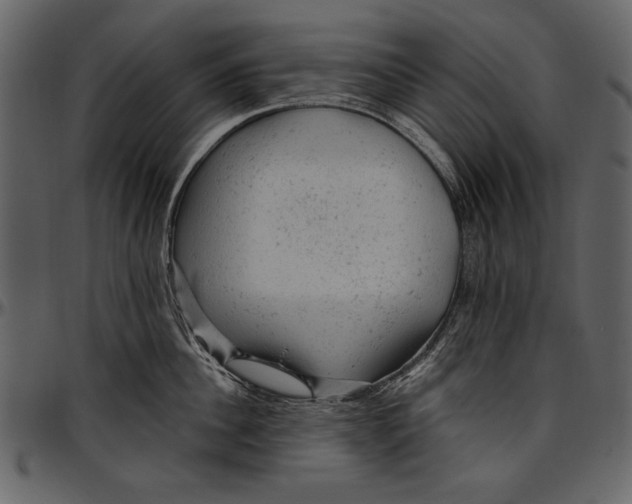 X0000096940956200802291030