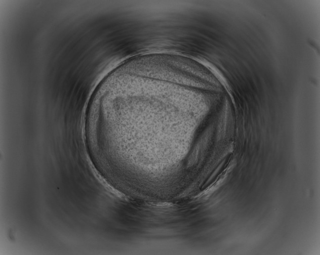 X0000096940957200802291030