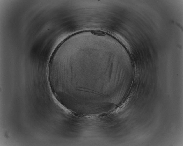 X0000096940958200802291030