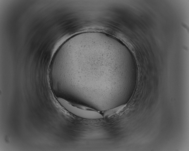 X0000096940960200802291030